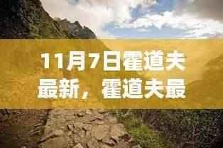 霍道夫最新动态,多维度视角的深度解读与观点碰撞(11月7日更新)