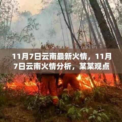 云南火情最新动态,专家深度分析观点阐述