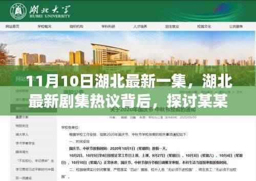 湖北最新剧集热议背后的深度解析，探讨某某观点