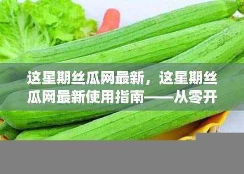 这星期丝瓜网最新操作指南,从零开始学习丝瓜网使用技巧与最新动态