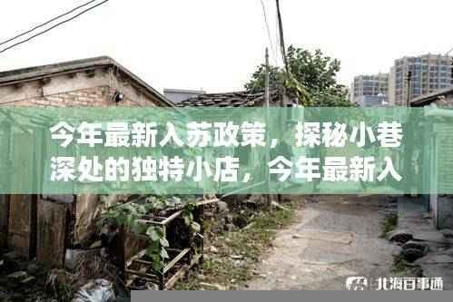 入苏政策下的惊喜发现,小巷深处独特小店探秘