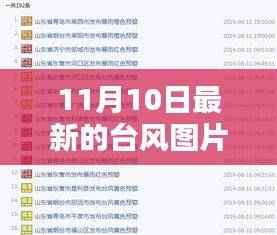 11月10日最新台风图片大全及获取指南,适合初学者与进阶用户