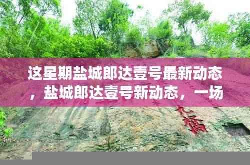 盐城郎达壹号最新动态,自然美景探索之旅,内心平和宁静的追寻