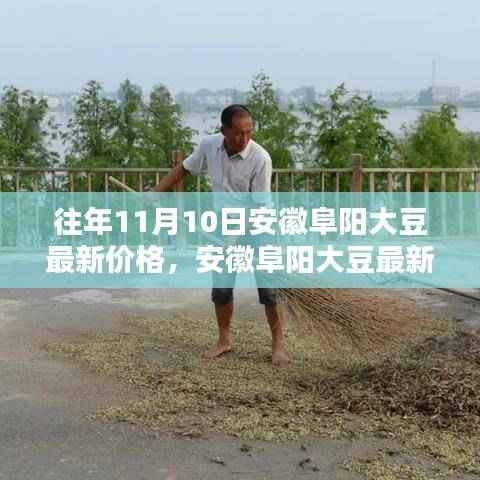 安徽阜阳历年11月10日大豆最新价格回顾与波动分析