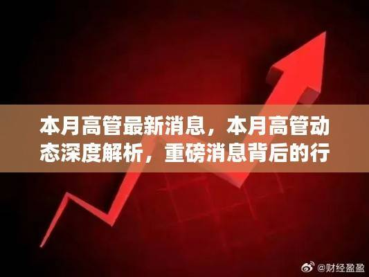 本月高管动态深度解析,行业影响与展望,重磅消息背后的未来趋势