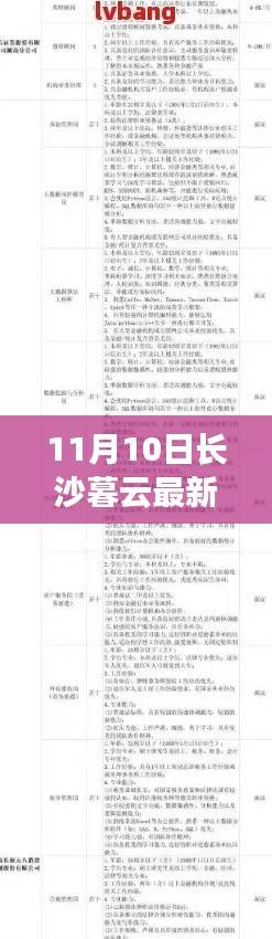 长沙暮云最新招聘信息探秘，11月10日全新招聘动态揭秘
