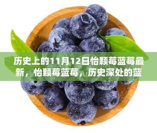 怡颗莓蓝莓的奇缘,历史深处的蓝莓故事与隐秘瑰宝