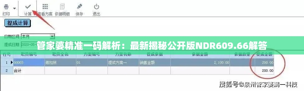 管家婆精准一码解析:最新揭秘公开版NDR609.66解答