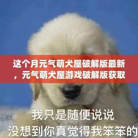 元气萌犬屋游戏破解版获取与安装指南(不推荐行为,法律风险提示)