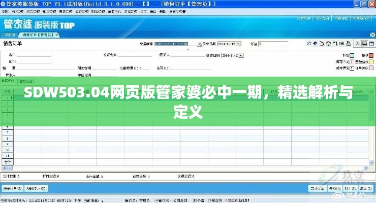 SDW503.04网页版管家婆必中一期,精选解析与定义