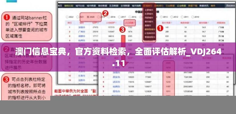 澳门信息宝典,官方资料检索,全面评估解析_VDJ264.11