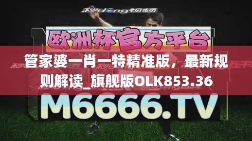 管家婆一肖一特精准版,最新规则解读_旗舰版OLK853.36