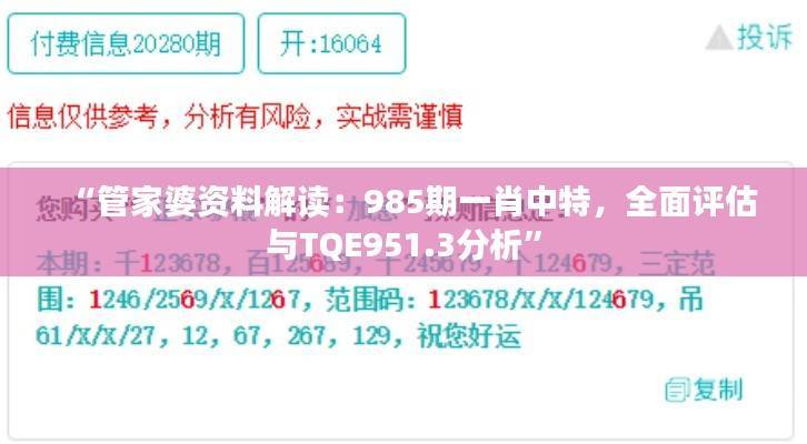 “管家婆资料解读：985期一肖中特，全面评估与TQE951.3分析”