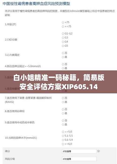 白小姐精准一码秘籍，简易版安全评估方案XIP605.14