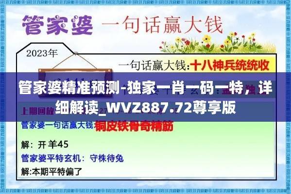 管家婆精准预测-独家一肖一码一特,详细解读_WVZ887.72尊享版
