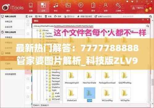 最新热门解答:7777788888管家婆图片解析_科技版ZLV975.05