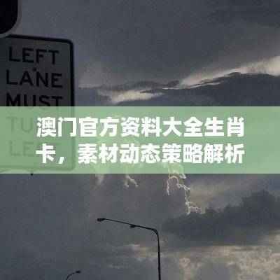 澳门官方资料大全生肖卡,素材动态策略解析版QEY373.91