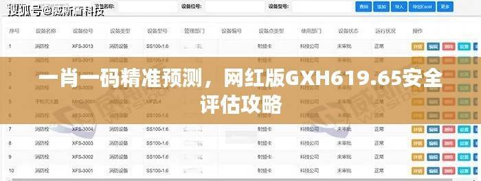 一肖一码精准预测,网红版GXH619.65安全评估攻略