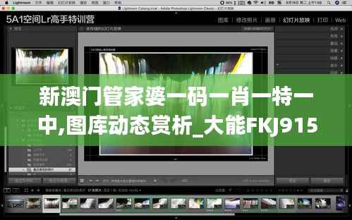 新澳门管家婆一码一肖一特一中,图库动态赏析_大能FKJ915.49