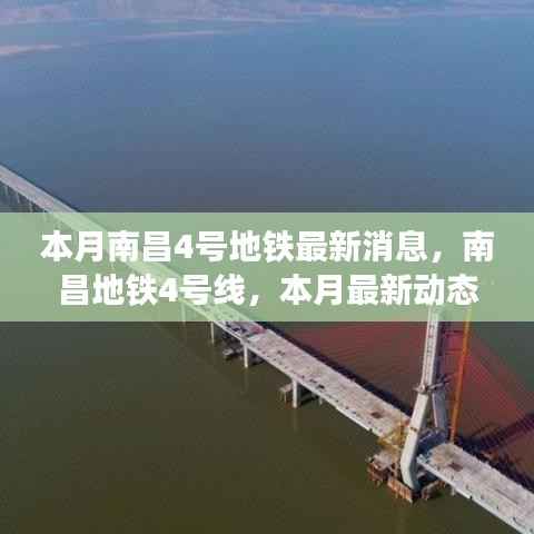 admin 第12页
