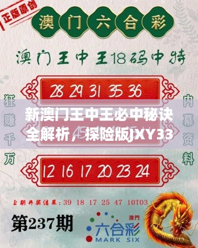 新澳门王中王必中秘诀全解析,探险版JXY33.67深度解读