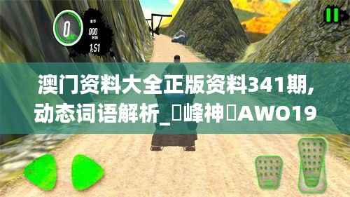 澳门资料大全正版资料341期,动态词语解析_蘋峰神衹AWO199.94