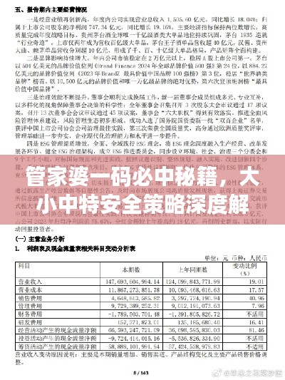 管家婆一码必中秘籍,大小中特安全策略深度解析——CQB817.84独版