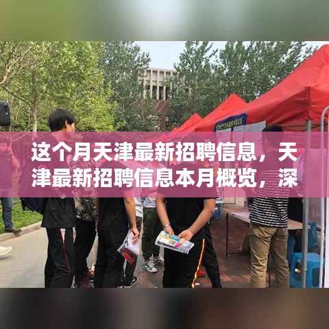 天津最新招聘信息概览，深度解析与用户体验体验本月招聘动态