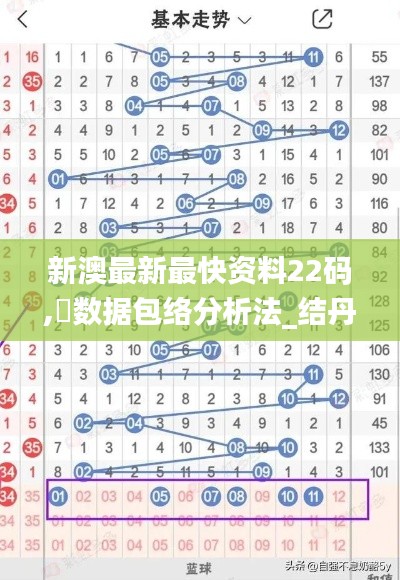 新澳最新最快资料22码,‌数据包络分析法_结丹境PWS551.47