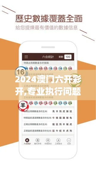 2024澳门六开彩开,专业执行问题_学习版BLV324.3