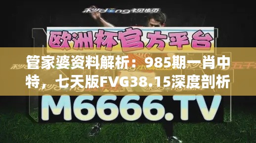 管家婆资料解析:985期一肖中特,七天版FVG38.15深度剖析