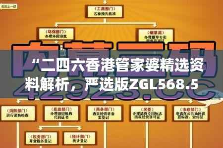 “二四六香港管家婆精选资料解析，严选版ZGL568.5深度解读”
