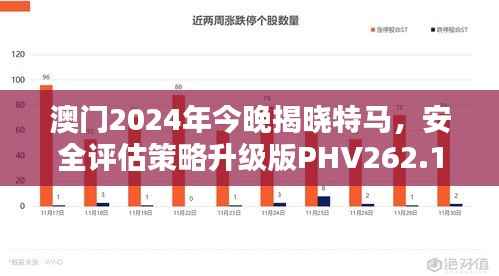 澳门2024年今晚揭晓特马,安全评估策略升级版PHV262.11