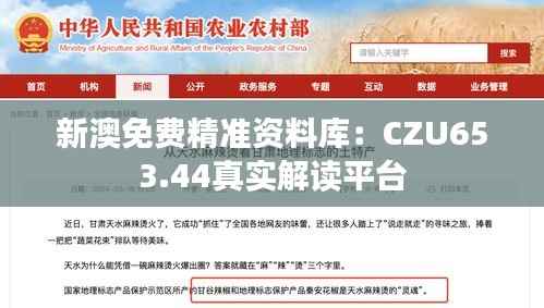 新澳免费精准资料库:CZU653.44真实解读平台