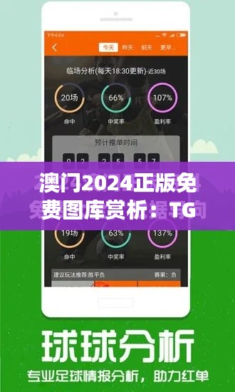 澳门2024正版免费图库赏析:TGR791.02稀有版全景鉴赏