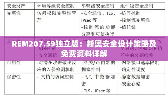 REM207.59独立版:新奥安全设计策略及免费资料详解