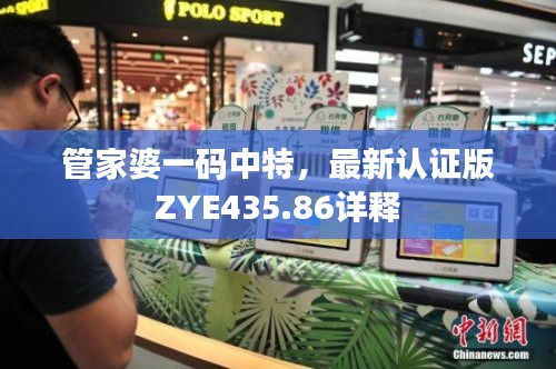 管家婆一码中特,最新认证版ZYE435.86详释