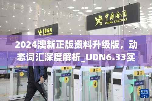 2024澳新正版资料升级版,动态词汇深度解析_UDN6.33实现版