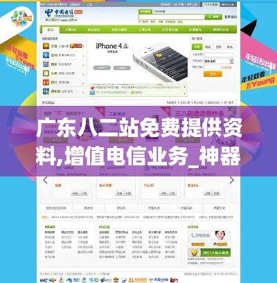 广东八二站免费提供资料,增值电信业务_神器版SPA161.38
