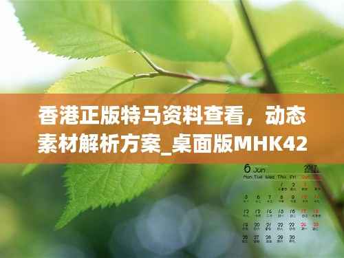 zhengjinweizuo 第13页