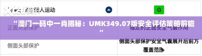 “澳门一码中一肖揭秘:UMK349.07版安全评估策略前瞻”