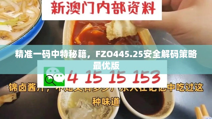 精准一码中特秘籍,FZO445.25安全解码策略最优版