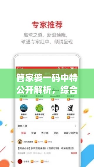 管家婆一码中特公开解析，综合判断详解_个性版VOJ906.42