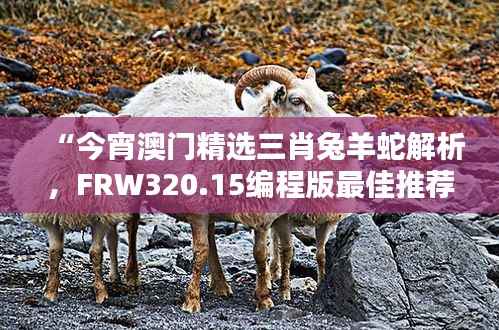 “今宵澳门精选三肖兔羊蛇解析，FRW320.15编程版最佳推荐”