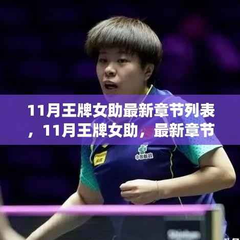 11月王牌女助,最新章节回顾与领域地位探析及最新动态