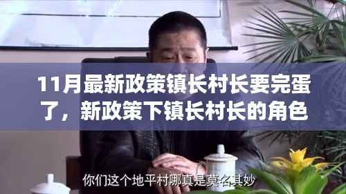 新政策下镇长村长的角色转变与挑战应对,透视11月最新政策影响