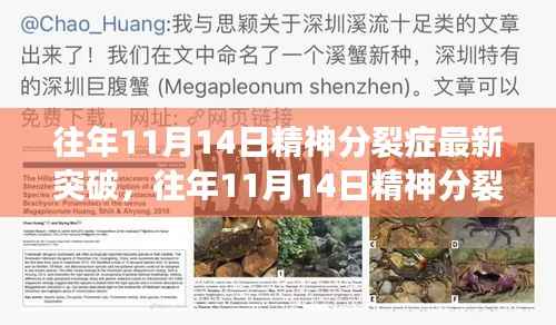 精神分裂症研究新突破深度解析与多方观点探讨，历年11月14日的进展报告