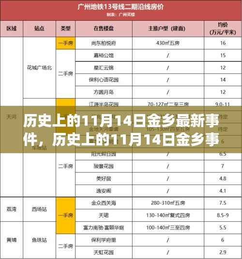 历史上的11月14日金乡事件深度解析,一种独特视角