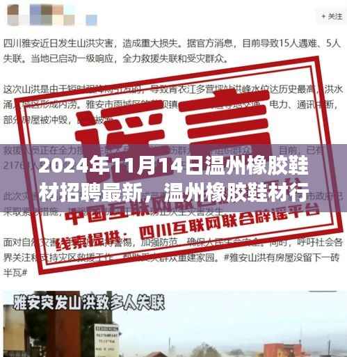2024年温州橡胶鞋材行业招聘热潮解析,人才盛宴即将开启