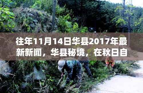 没精打采 第8页